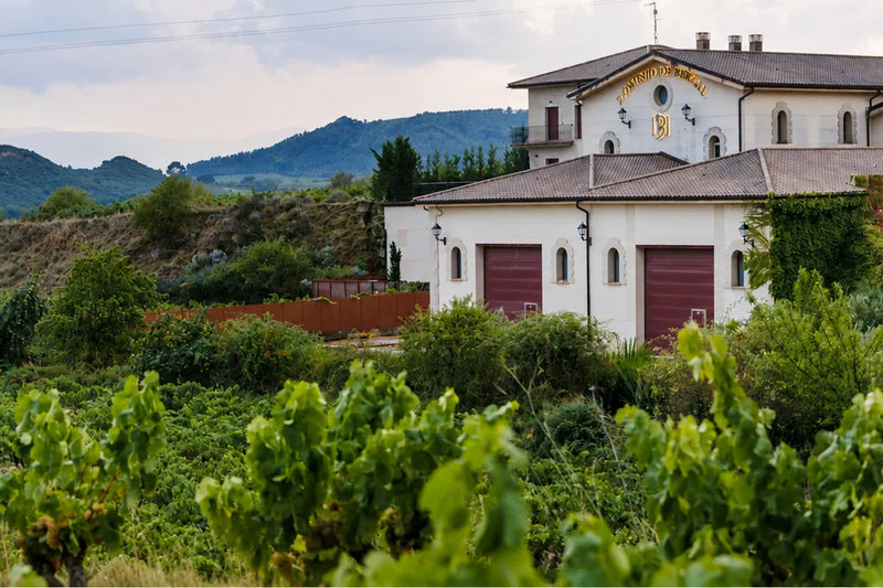 Bodegas Dominio Berzal - Baños de Ebro, Rioja Alavesa