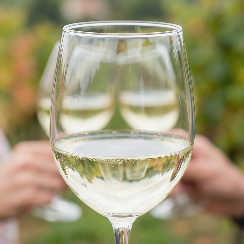 Txakoli vasco ideal para aperitivos y cocina marinera