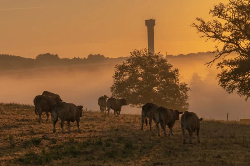 Echegor - Berrioplano, Navarra