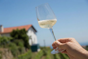 Bebidas