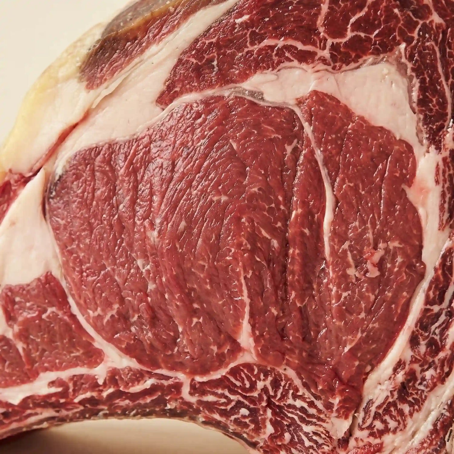 Carne de ternera navarra con infiltración equilibrada y calidad superior