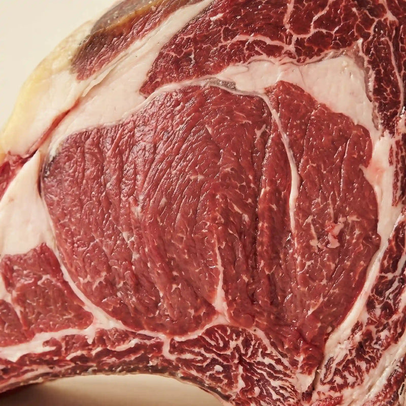 Carne de ternera navarra con infiltración equilibrada y calidad superior