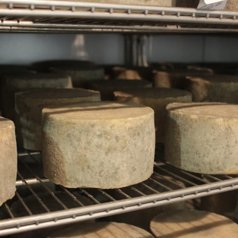Queso Idiazabal ideal para tablas y degustación gourmet