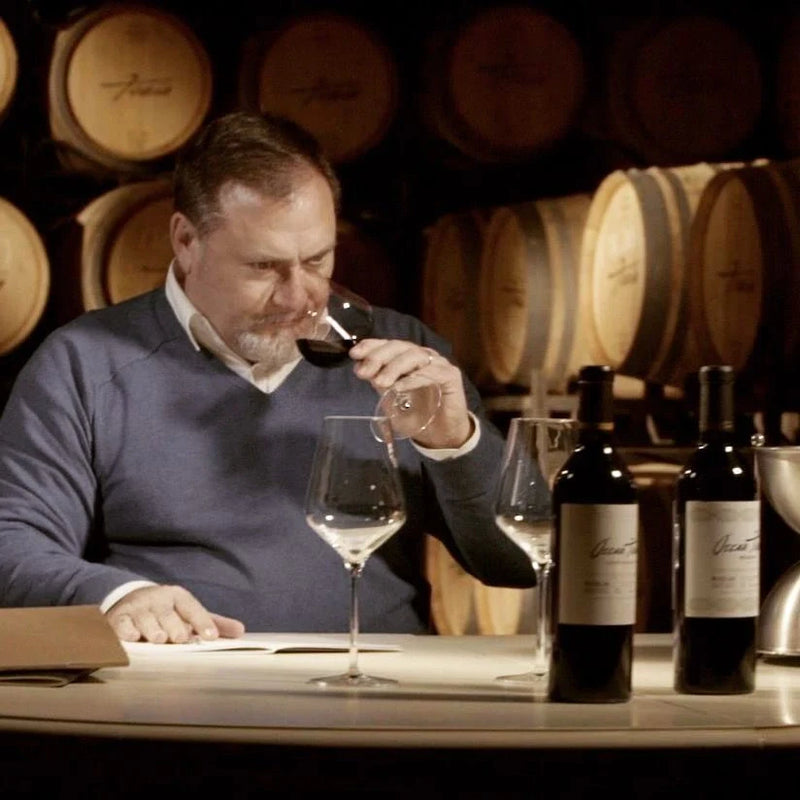 Vino Tobía 2021 perfecto para maridar platos intensos