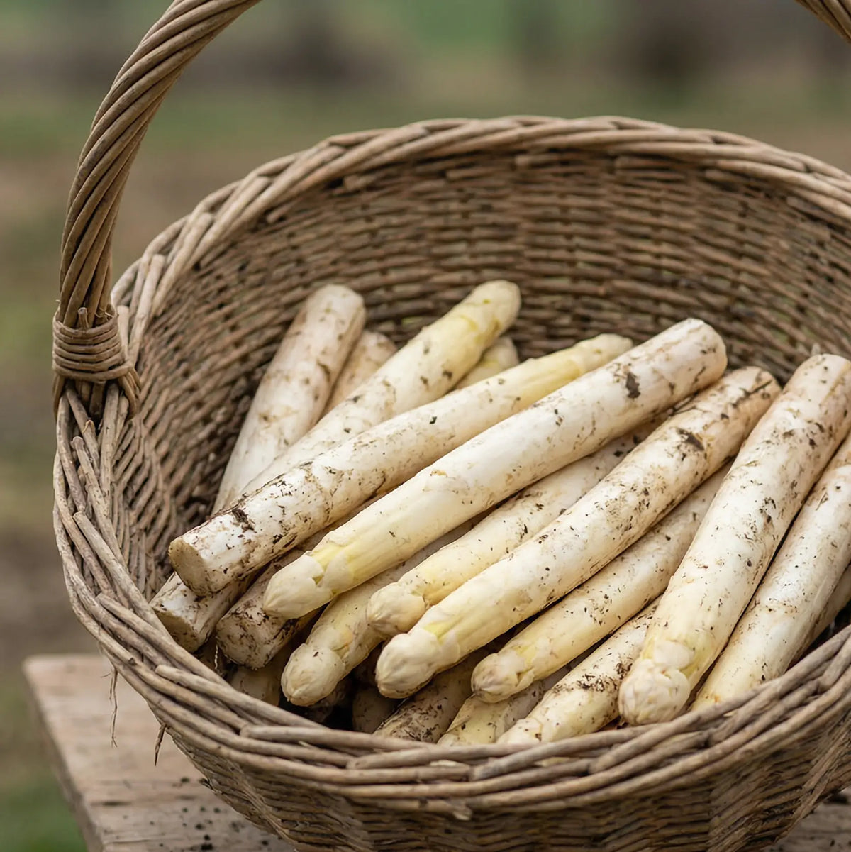Espárragos blancos perfectos para recetas gourmet