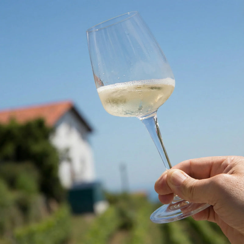 Txakoli vasco ideal para mariscos pescados y aperitivos