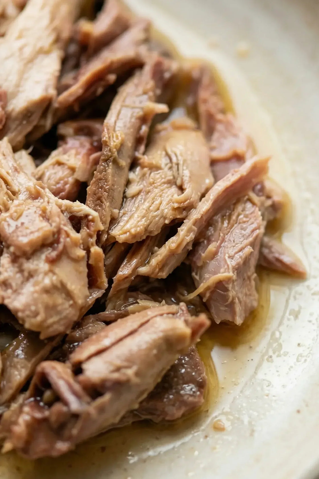 CONSERVAS DE CARNE DE CALIDAD SUPERIOR DIRECTAMENTE DE NAVARRA