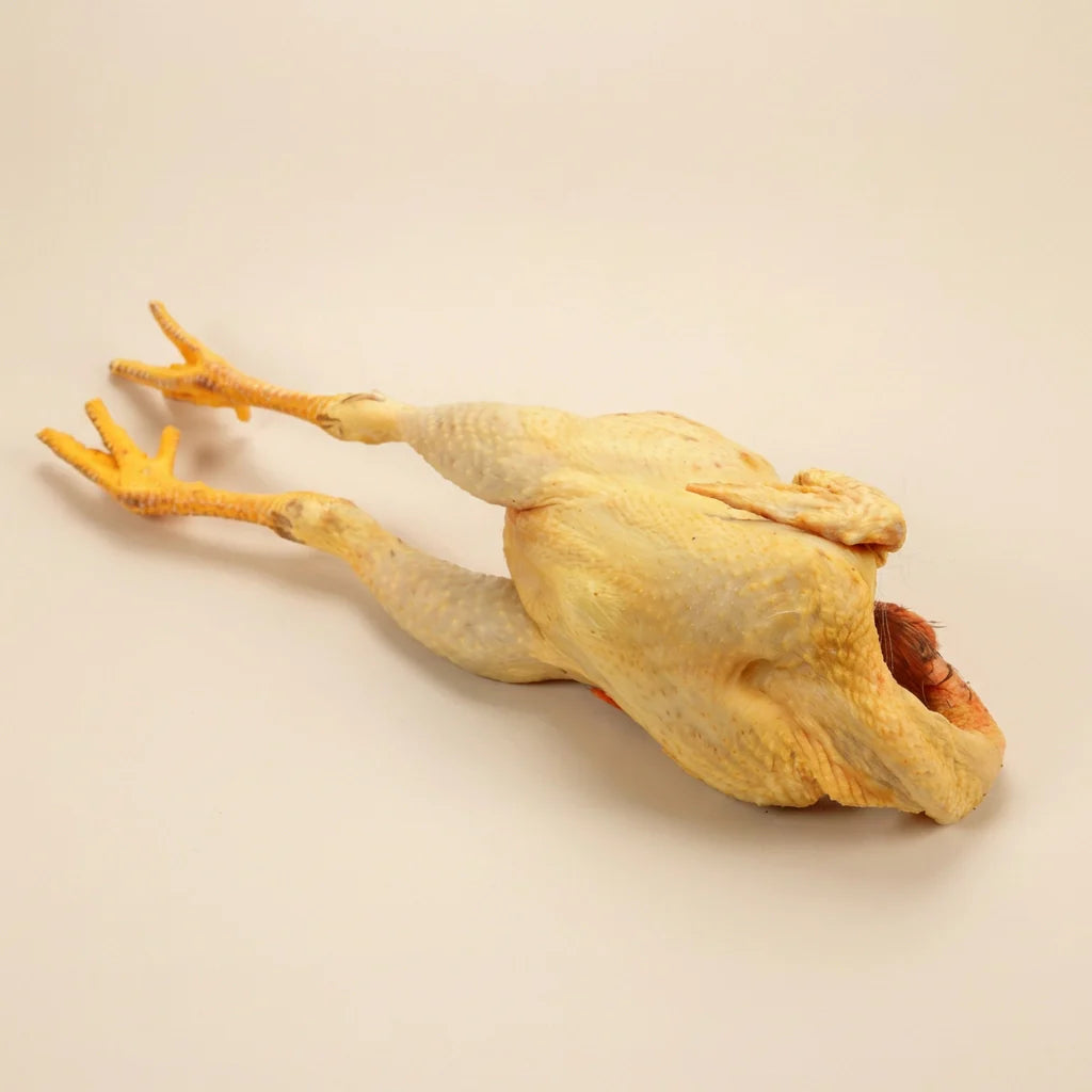 Pollo de caserío alargado Lumagorri Eusko Label