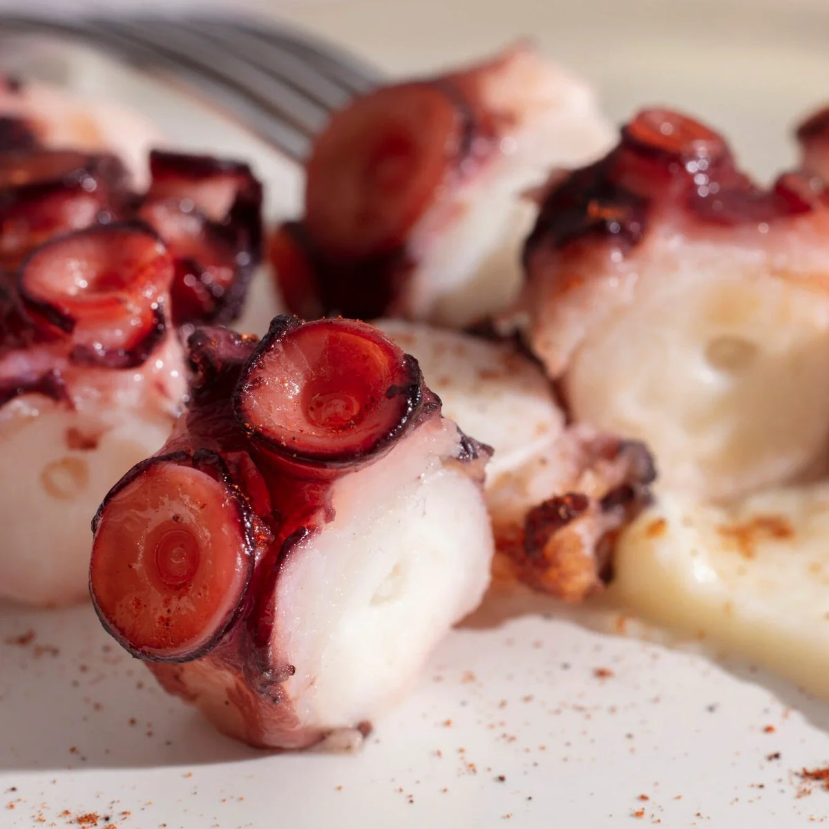 Pulpo del Cantábrico listo para servir en recetas tradicionales