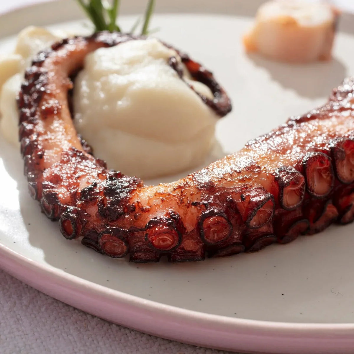 Pulpo cocido con corte limpio y sabor marino natural