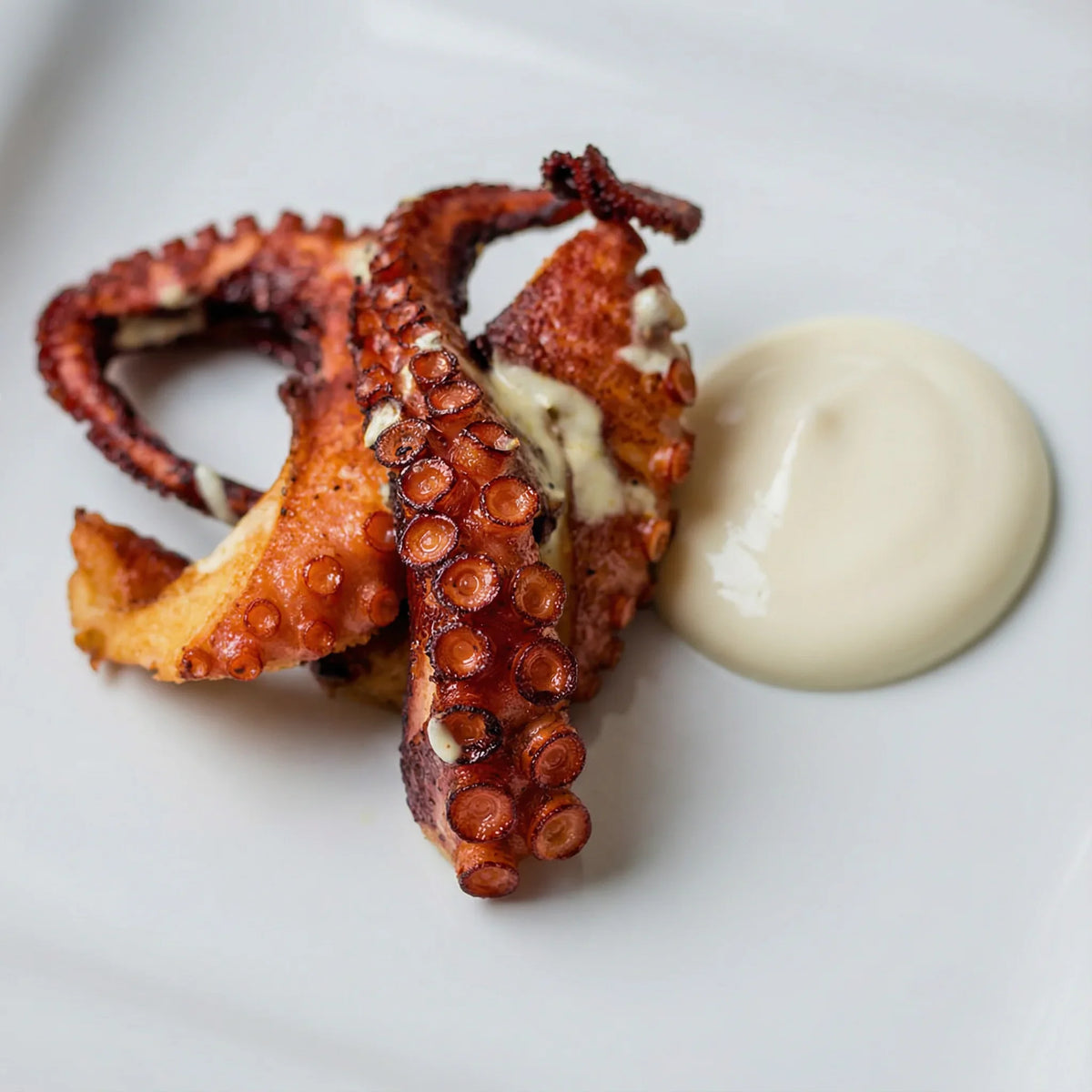 Pulpo cocido gourmet perfecto para platos fríos y aperitivos
